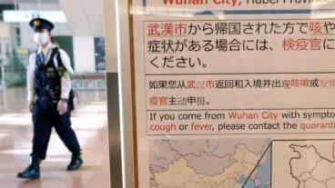 Se desconoce aun cómo surgió este virus.