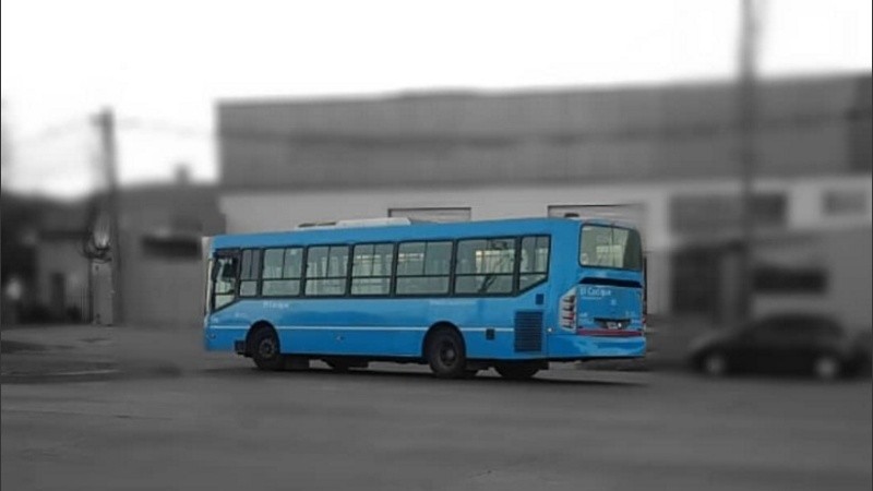 El abusador manejaba un colectivo de la línea 132. 