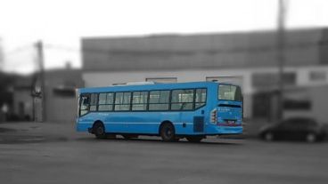 El abusador manejaba un colectivo de la línea 132.