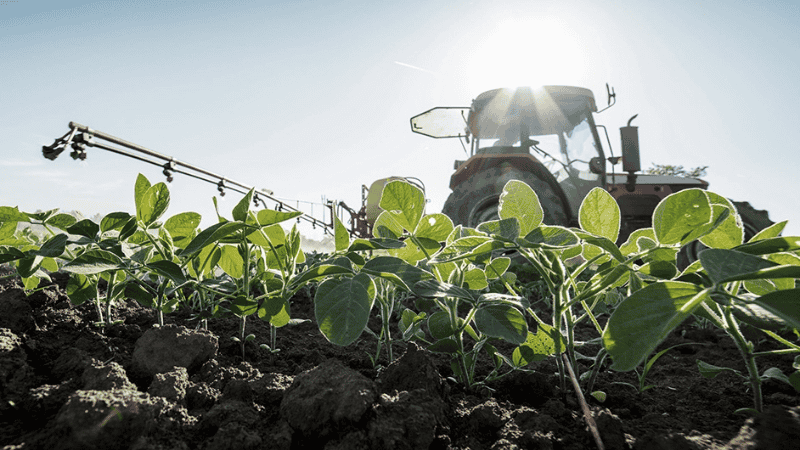Los productores recibirán una oferta de pago de la cerealera.