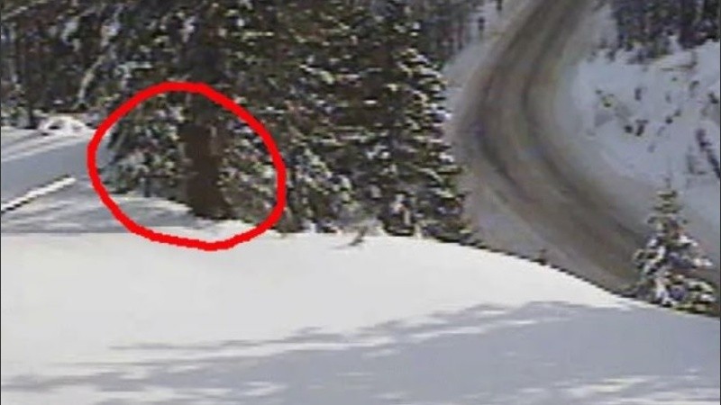 La leyenda cuenta que un ser cubierto de pelo y de más de dos metros aterra a lugareños.