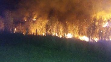 El fuego alcanzó más de 4 kilómetros el fin de semana pasado.