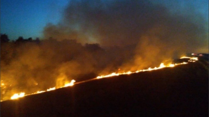 Los incendios en las islas tienen un enorme impacto ambiental en un área natural protegida.