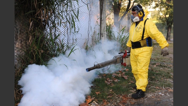 La fumigación de mosquitos combate la propagación del mosquito aedes aegypti.