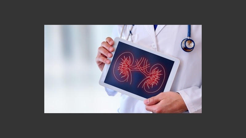 El uso indiscriminado de este suplemento ha planteado preocupaciones sobre su seguridad.