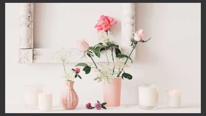 Descubrí sus claves y dejate cautivar.