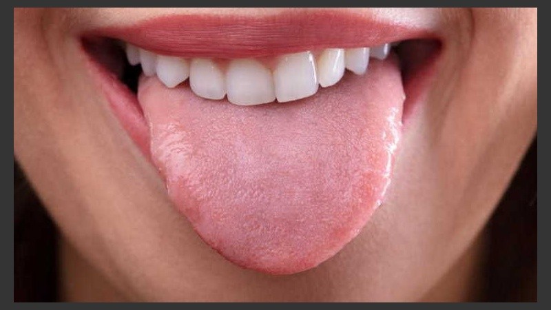 La composición del microbioma es reconocida por su influencia en nuestra salud.