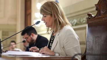 Rodenas durante la sesión que encabezó ayer en el Senado.