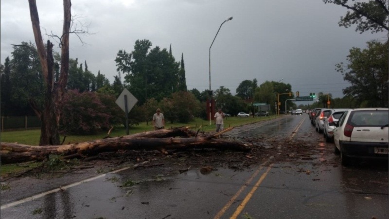 Complicaciones y demoras en la vieja ruta 9.