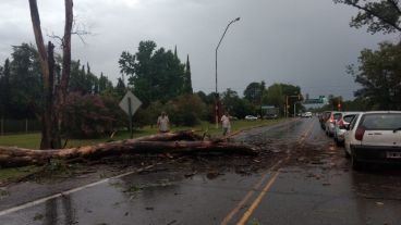 Complicaciones y demoras en la vieja ruta 9.