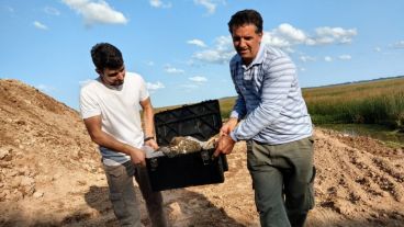 El revelador material hallado en San Pedro.