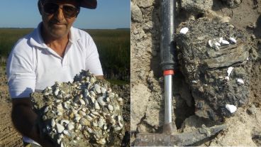 El revelador material hallado en San Pedro.