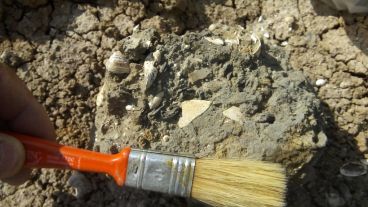 El revelador material hallado en San Pedro.