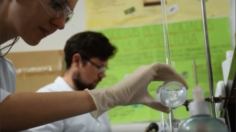 Los estudiantes investigan las ventajas de la producción y el uso de biocombustibles.