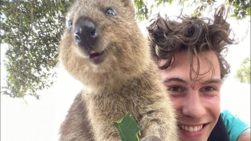 En el 2013 fue declarado el animal más feliz del mundo.