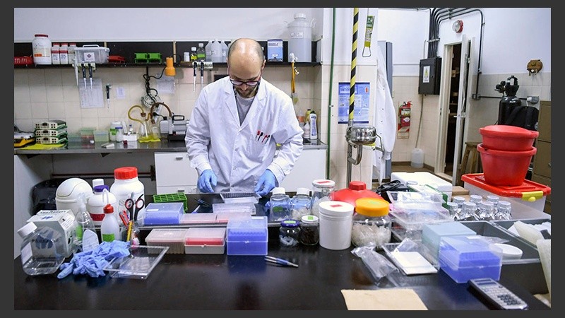 La presentación podrá completarse hasta el 20 de marzo de 8 a 13.