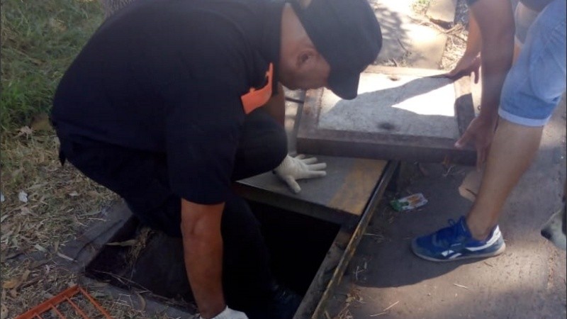 Solo pudieron rescatar a uno de los dos perros. 