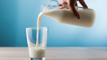 Las pruebas realizadas refutaron la creencia de que la leche baja en grasa promovía la pérdida de peso.