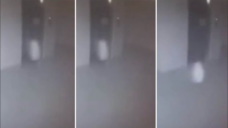 Al parecer el ente aparece por la noche.