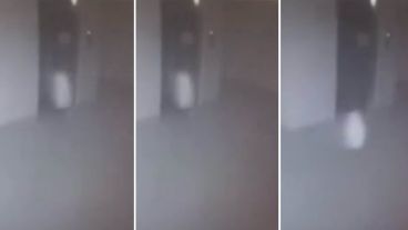 Al parecer el ente aparece por la noche.