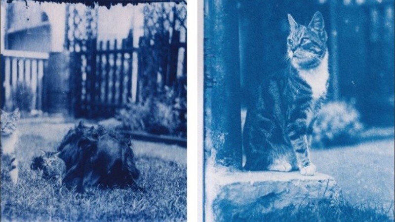 Para revelar los negativos utilizó una técnica muy antigua.