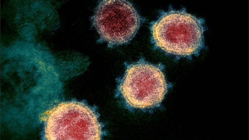 El primer caso de coronavirus en Brasil había sido confirmado el miércoles pasado.