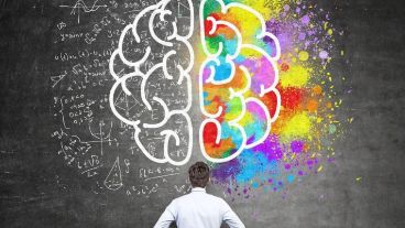 El CI no determina la inteligencia.