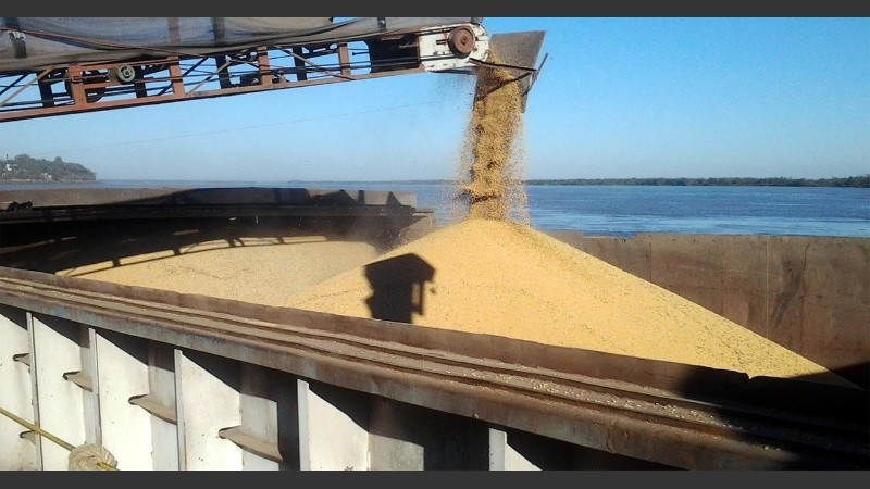 El cambio comprenderá esencialmente a los grandes productores.