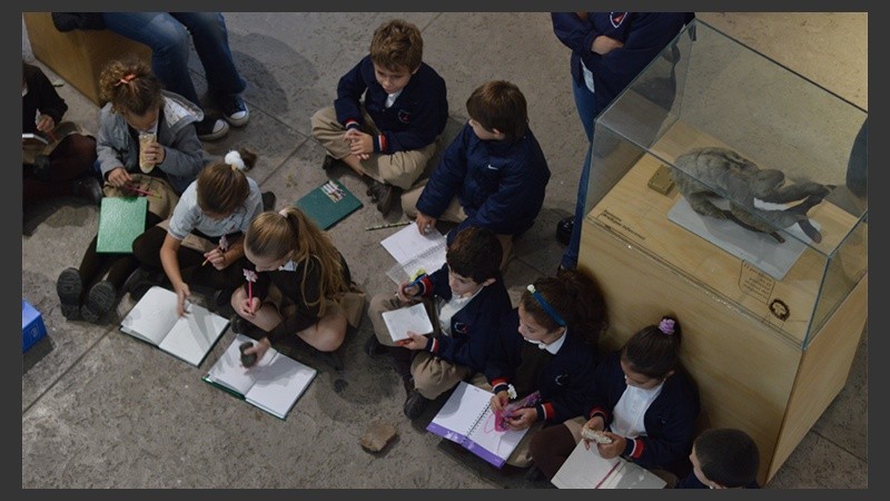 Ya está abierto al público.