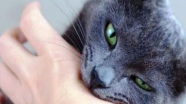 La vacación anual es la mejor manera de evitar que se propague la enfermedad.