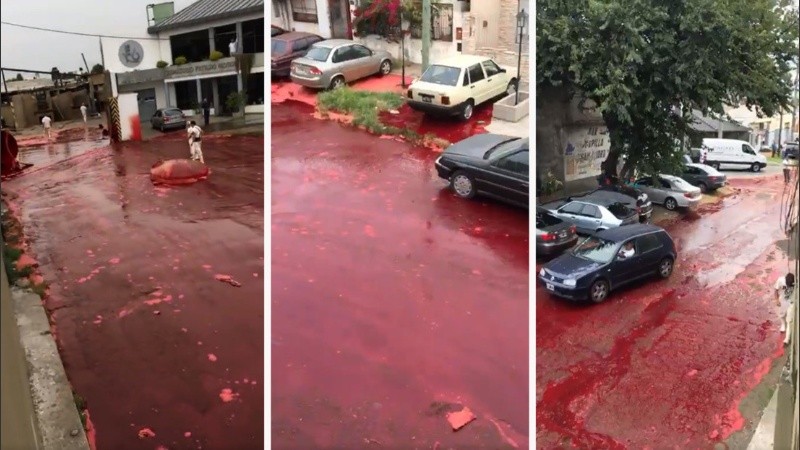 Litros de sangre animal cubrieron las calles del barrio.