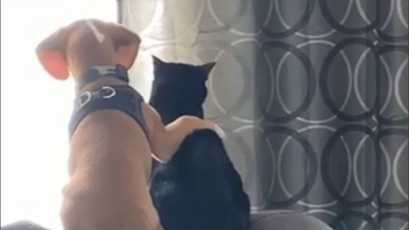 El país tuvo 1.420 muertes relacionadas con covid-19.