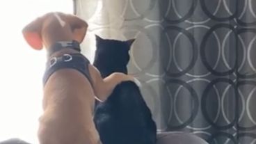 El país tuvo 1.420 muertes relacionadas con covid-19.