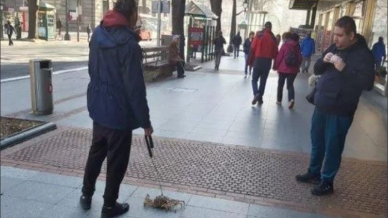 El twuitt ya fue compartido miles de veces por los usuarios.