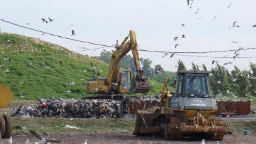 El resto humano fue encontrado en el relleno sanitario del oeste de la ciudad.