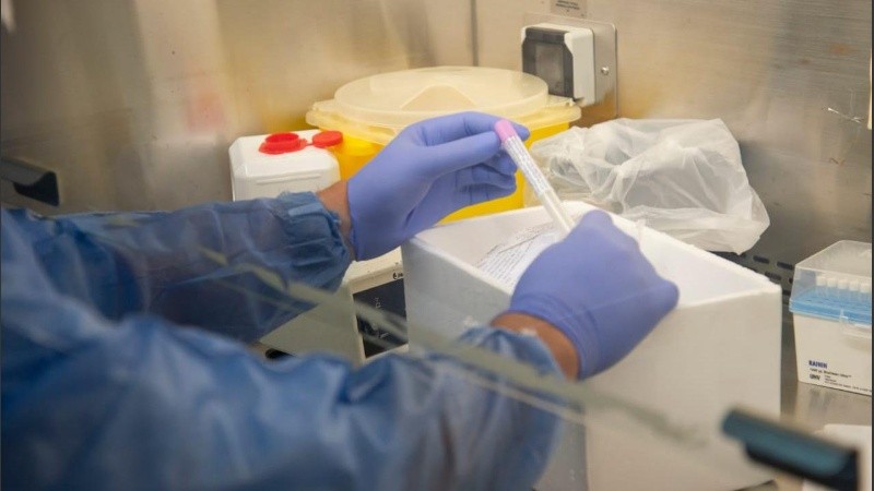 Nuevas muestras de pacientes argentinos dieron positivo por coronavirus. 