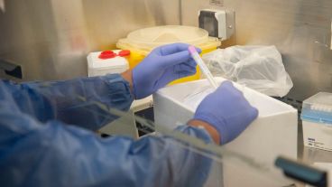 Nuevas muestras de pacientes argentinos dieron positivo por coronavirus.