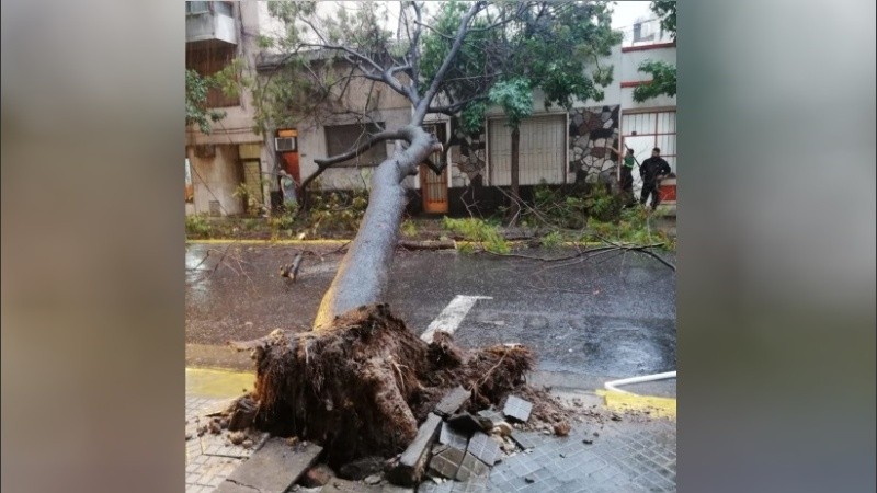 Defensa Civil trabajaba para liberar la calzada. 