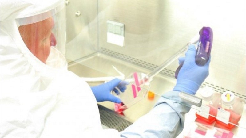 La OMS pide a todos los países que antes de que esté disponible una vacuna o haya un fármaco con evidencia científica demostrada, se aplique un 