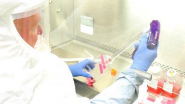 La OMS pide a todos los países que antes de que esté disponible una vacuna o haya un fármaco con evidencia científica demostrada, se aplique un "enfoque integral", para frenar la transmisión del coronavirus.