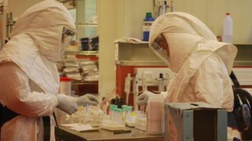 Los casos positivos se confirman en el laboratorio del Instituto Malbrán.