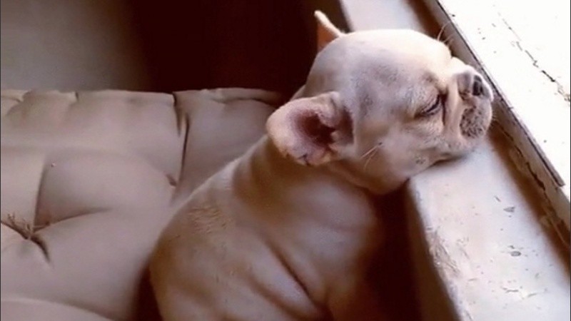 Que el calor entre por la ventana. 