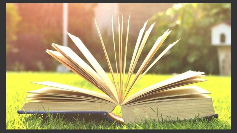 Un buen libro en el patio de casa, una opción para este día de cuarentena y calor. 