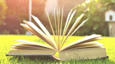 Un buen libro en el patio de casa, una opción para este día de cuarentena y calor.