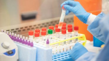 La prevención es la mejor cura hasta ahora.