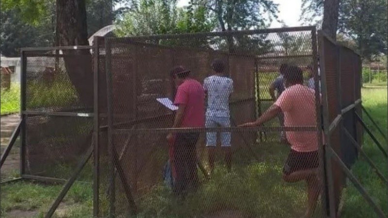 La jaula estaba montada en plena vía pública.