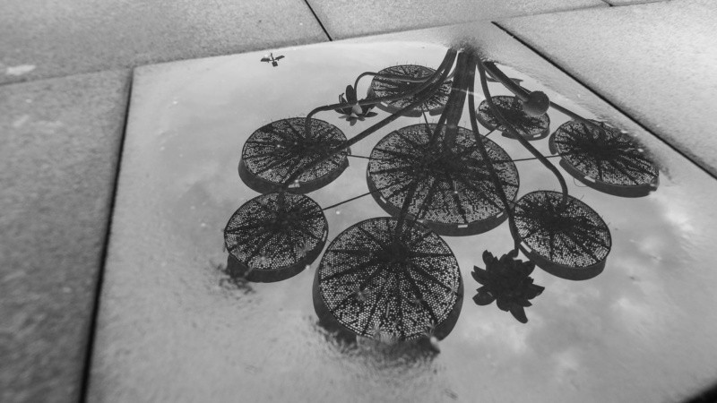 Una lluvia que dejó charcos en la ciudad.