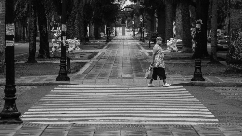 Salir sólo para hacer las compras y casos de urgencias. 