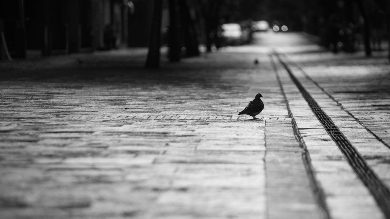 Una ciudad por momentos desolada.