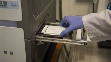 Las pruebas se realizaron en el Cemar.